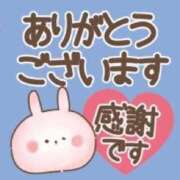 ヒメ日記 2025/04/28 01:54 投稿 椿（つばき） ビッグバード