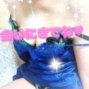 ヒメ日記 2025/05/03 19:47 投稿 椿（つばき） ビッグバード