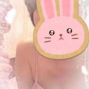 ヒメ日記 2026/02/01 15:52 投稿 椿（つばき） ビッグバード