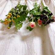 ヒメ日記 2025/03/02 19:56 投稿 まちこ タレント倶楽部Around40