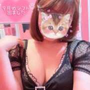 ヒメ日記 2025/08/30 06:59 投稿 萌(もえ) チューリップ宇都宮店