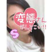 ヒメ日記 2025/04/04 15:30 投稿 さやか 大阪はまちゃん日本橋店