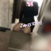 ヒメ日記 2025/05/05 06:40 投稿 さやか 大阪はまちゃん日本橋店