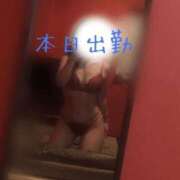 ヒメ日記 2025/05/28 05:10 投稿 さやか 大阪はまちゃん日本橋店