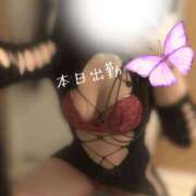 ヒメ日記 2025/07/02 05:10 投稿 さやか 大阪はまちゃん日本橋店