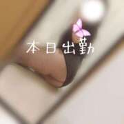 ヒメ日記 2025/07/07 05:00 投稿 さやか 大阪はまちゃん日本橋店