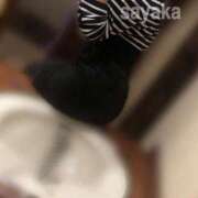 ヒメ日記 2025/11/03 13:00 投稿 さやか 大阪はまちゃん日本橋店