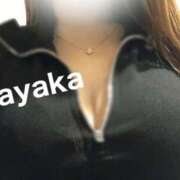 ヒメ日記 2026/02/20 12:00 投稿 さやか 大阪はまちゃん日本橋店