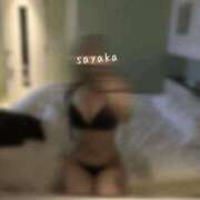 ヒメ日記 2026/02/24 12:10 投稿 さやか 大阪はまちゃん日本橋店