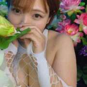 ヒメ日記 2025/06/12 10:58 投稿 ムキエビ　剥き海老 女の子市場