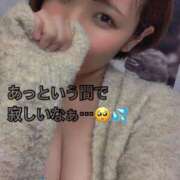 ヒメ日記 2025/10/10 10:38 投稿 ムキエビ　剥き海老 女の子市場