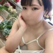 ヒメ日記 2025/10/11 10:48 投稿 ムキエビ　剥き海老 女の子市場