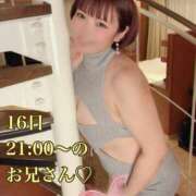 ヒメ日記 2025/11/18 05:30 投稿 ムキエビ　剥き海老 女の子市場