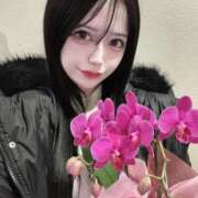 ヒメ日記 2025/03/05 11:22 投稿 かれん◇最高級の巨乳女子大生◇ H-ash（アッシュ）