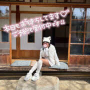 ヒメ日記 2025/03/26 06:40 投稿 かのこ バイオレンス