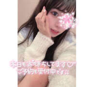 ヒメ日記 2025/04/11 07:05 投稿 かのこ バイオレンス