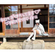 ヒメ日記 2025/04/12 06:36 投稿 かのこ バイオレンス