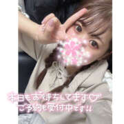 ヒメ日記 2025/04/17 06:45 投稿 かのこ バイオレンス