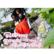 ヒメ日記 2025/06/01 18:40 投稿 かのこ バイオレンス