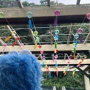 ヒメ日記 2025/07/08 15:06 投稿 かのこ バイオレンス