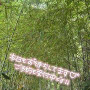 ヒメ日記 2025/07/11 11:55 投稿 かのこ バイオレンス