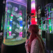 ヒメ日記 2025/07/30 06:55 投稿 かのこ バイオレンス