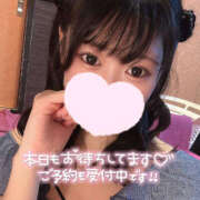 ヒメ日記 2025/08/03 06:35 投稿 かのこ バイオレンス