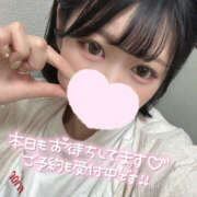 ヒメ日記 2025/08/12 06:55 投稿 かのこ バイオレンス