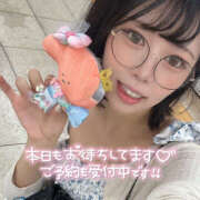 ヒメ日記 2025/08/31 06:45 投稿 かのこ バイオレンス