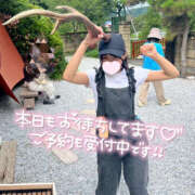 ヒメ日記 2025/10/24 06:50 投稿 かのこ バイオレンス