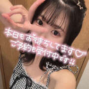 ヒメ日記 2025/10/25 06:55 投稿 かのこ バイオレンス