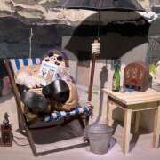 ヒメ日記 2026/01/29 11:55 投稿 かのこ バイオレンス