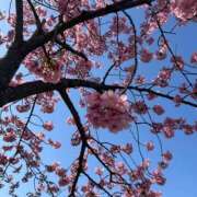 ヒメ日記 2026/03/02 06:45 投稿 かのこ バイオレンス