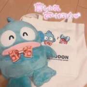 ヒメ日記 2025/04/01 18:08 投稿 かなん バイオレンス