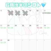 ヒメ日記 2025/06/20 12:23 投稿 ここ バイオレンス