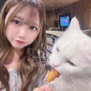 ヒメ日記 2026/02/21 20:25 投稿 ここ バイオレンス