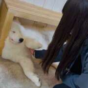 ヒメ日記 2025/04/10 22:15 投稿 もこ バイオレンス