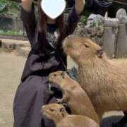 ヒメ日記 2025/05/23 22:55 投稿 もこ バイオレンス