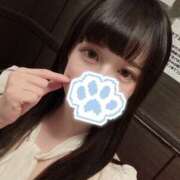 もこ 空き枠🐶 バイオレンス