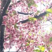 ヒメ日記 2025/04/02 11:25 投稿 ここな バイオレンス