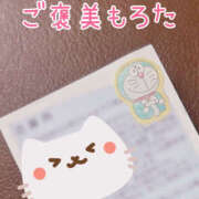 ヒメ日記 2025/04/03 15:45 投稿 ここな バイオレンス