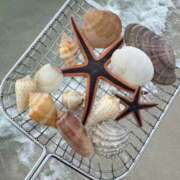 ヒメ日記 2025/01/31 06:42 投稿 きこ 千葉ミセスアロマ（ユメオト）