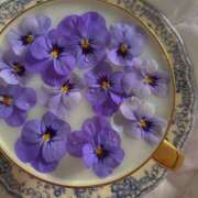 ヒメ日記 2025/02/03 07:01 投稿 きこ 千葉ミセスアロマ（ユメオト）