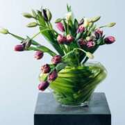 ヒメ日記 2025/02/05 06:44 投稿 きこ 千葉ミセスアロマ（ユメオト）