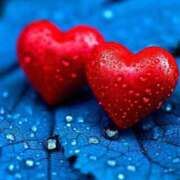 ヒメ日記 2025/02/08 07:08 投稿 きこ 千葉ミセスアロマ（ユメオト）