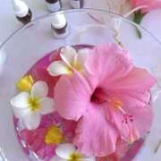 ヒメ日記 2025/02/21 07:04 投稿 きこ 千葉ミセスアロマ（ユメオト）