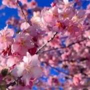 ヒメ日記 2025/02/28 13:12 投稿 きこ 千葉ミセスアロマ（ユメオト）