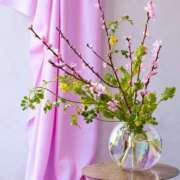 ヒメ日記 2025/03/03 06:46 投稿 きこ 千葉ミセスアロマ（ユメオト）