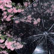 ヒメ日記 2025/03/03 15:40 投稿 きこ 千葉ミセスアロマ（ユメオト）