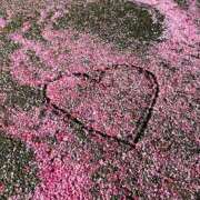 ヒメ日記 2025/03/28 14:41 投稿 きこ 千葉ミセスアロマ（ユメオト）